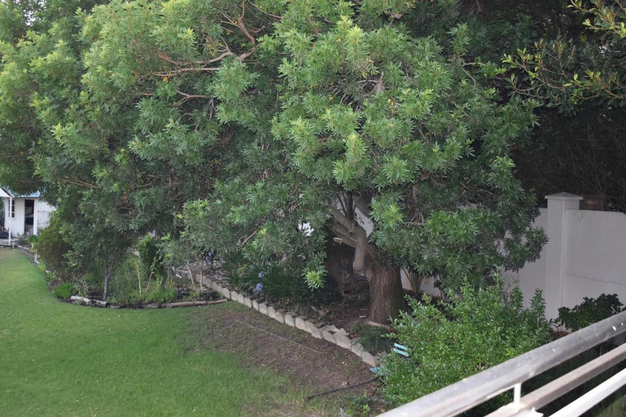 דירות סומרסט ווסט The Botanical House מראה חיצוני תמונה